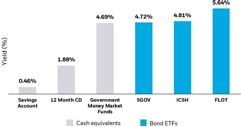 blackrock liquidity treasury instl|blackrock government short term investment fund.